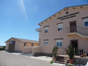 hospital clínico veterinario virgen de las nieves caballos